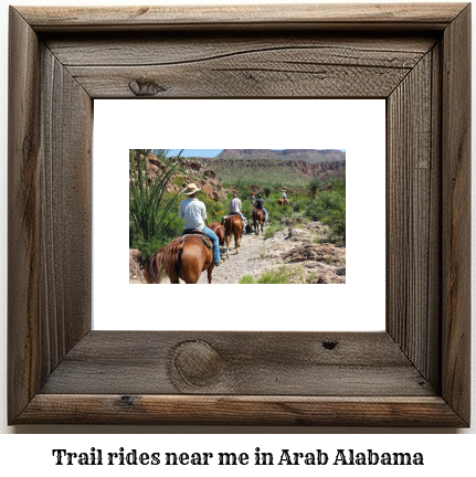 trail rides near me in Arab, Alabama